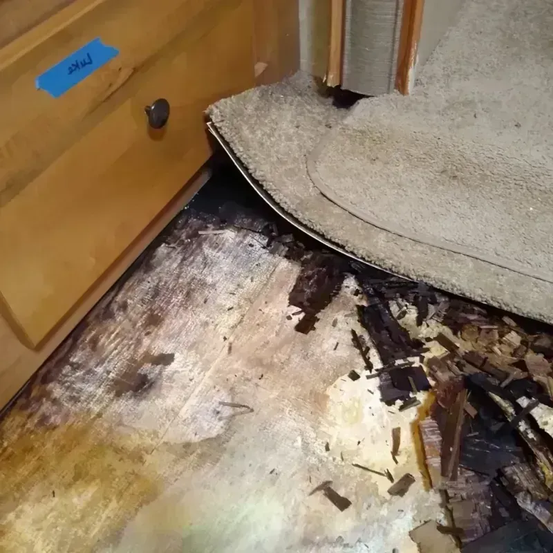 Wood Floor Water Damage in Shields, MI